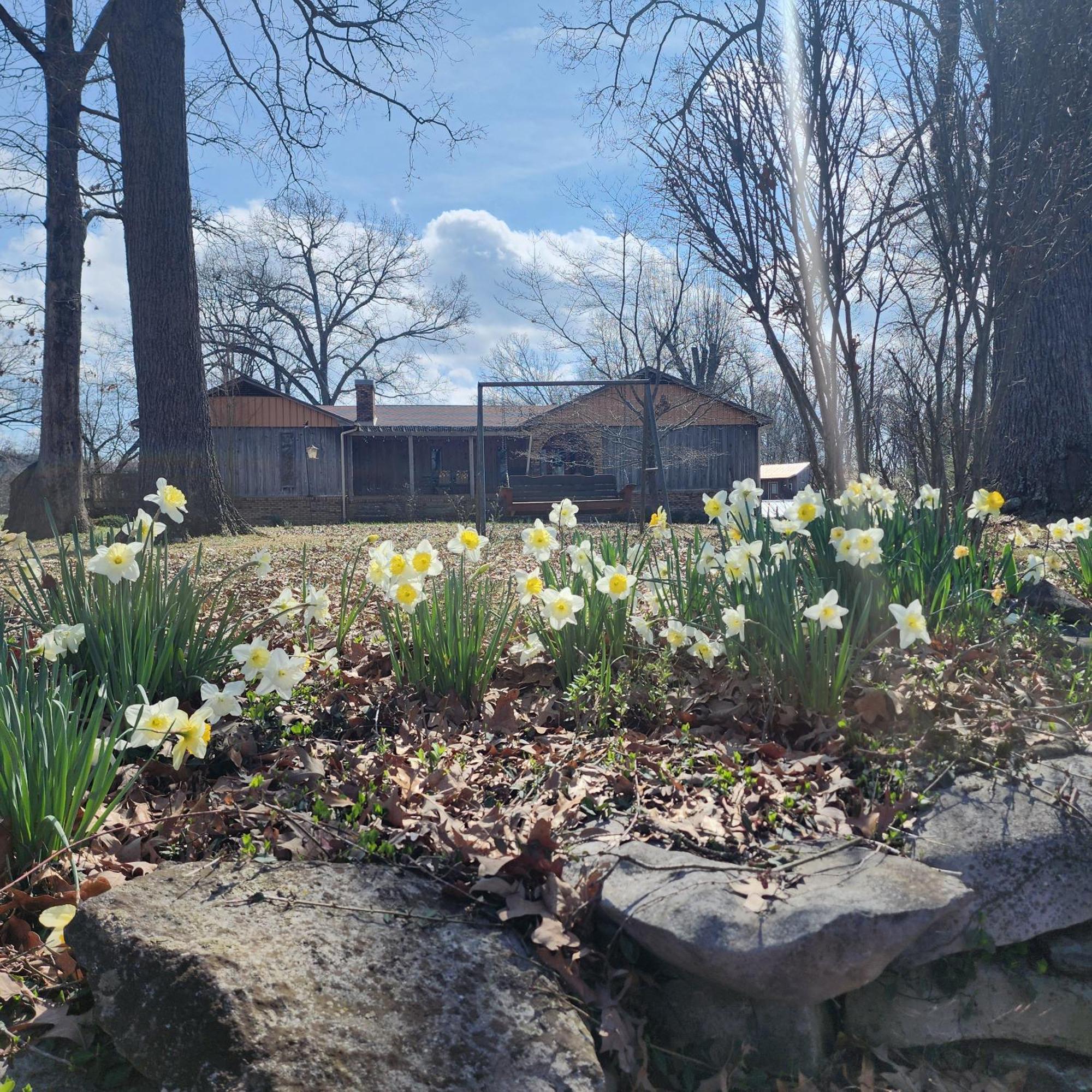 Sisters On Sycamore B&B Russellville Екстериор снимка