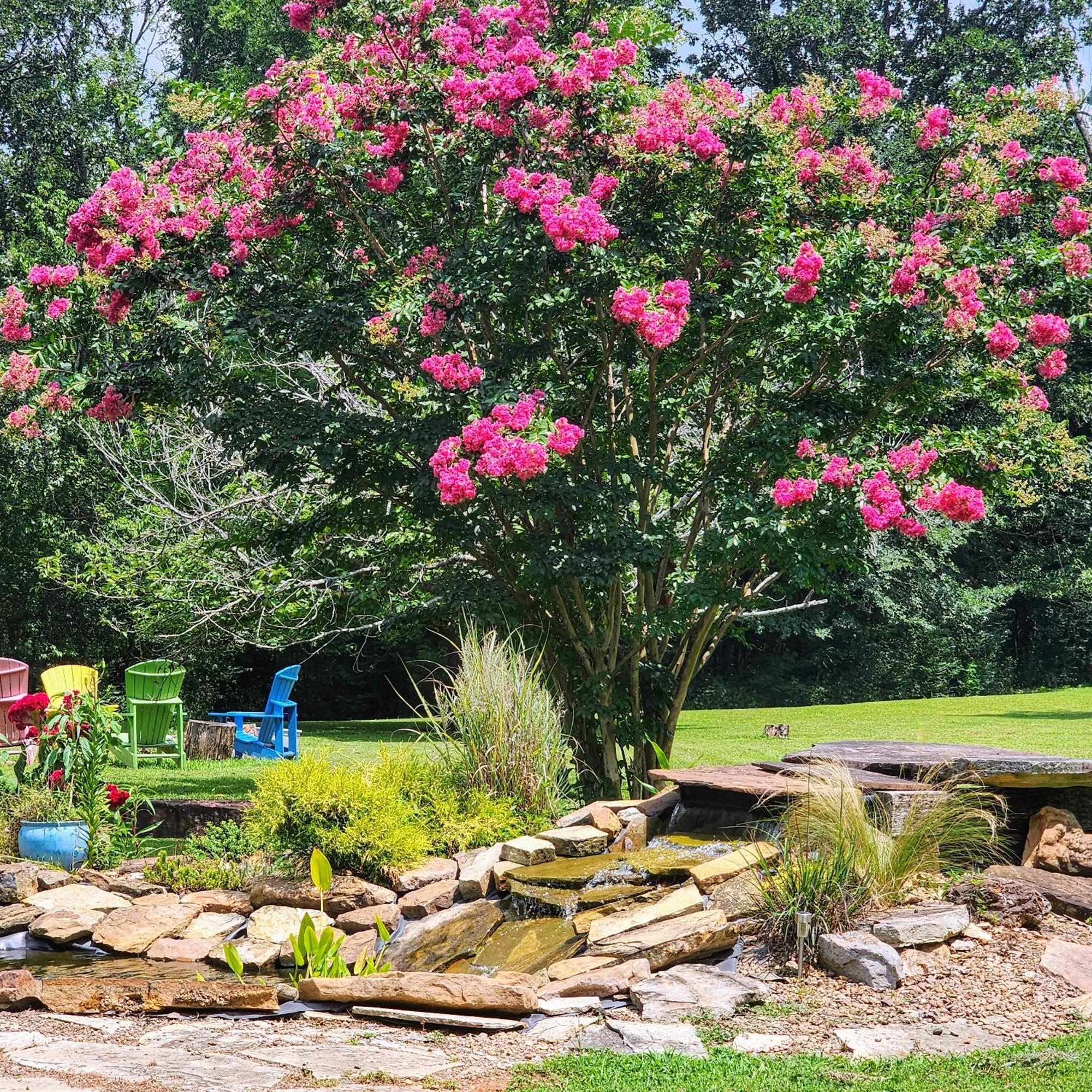 Sisters On Sycamore B&B Russellville Екстериор снимка