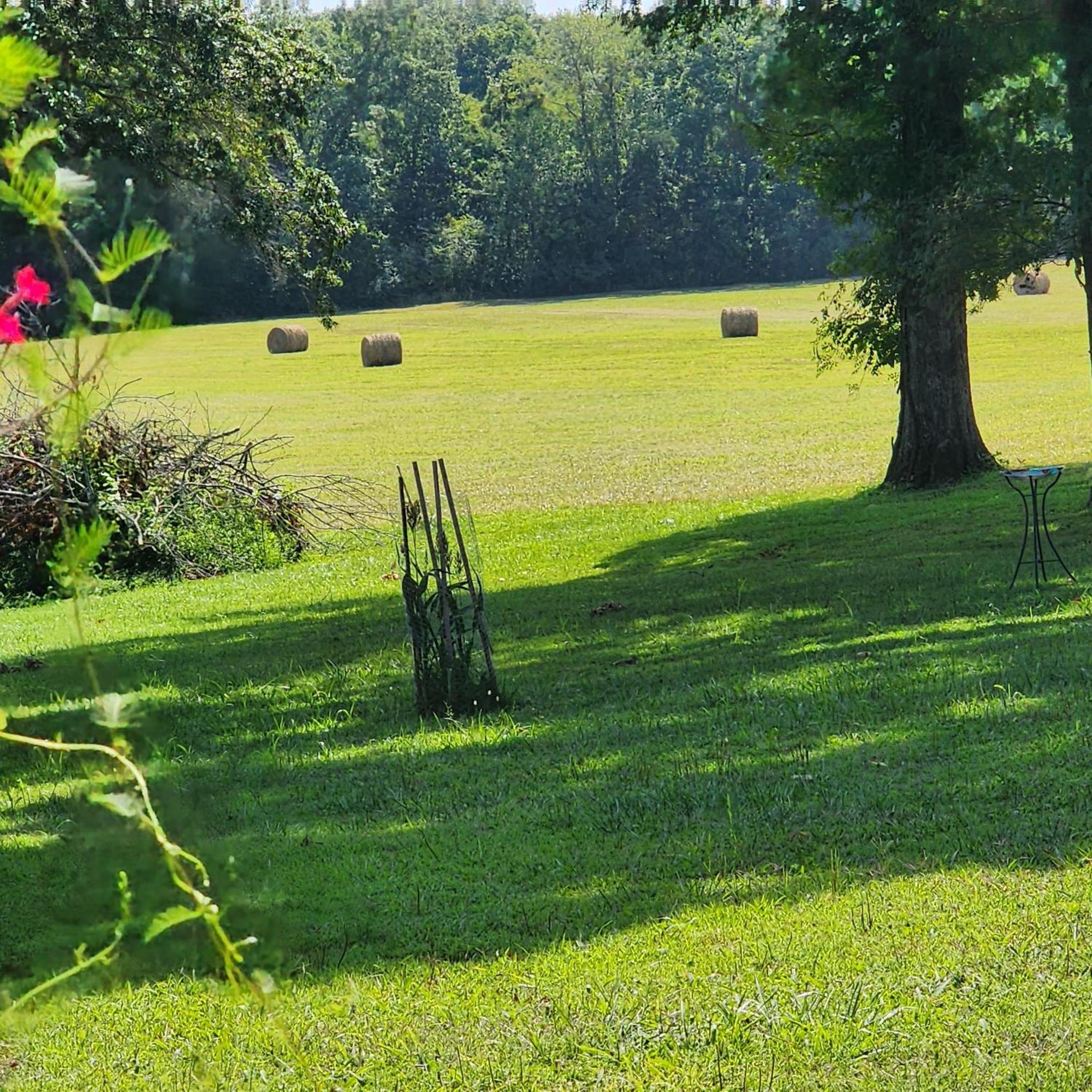 Sisters On Sycamore B&B Russellville Екстериор снимка